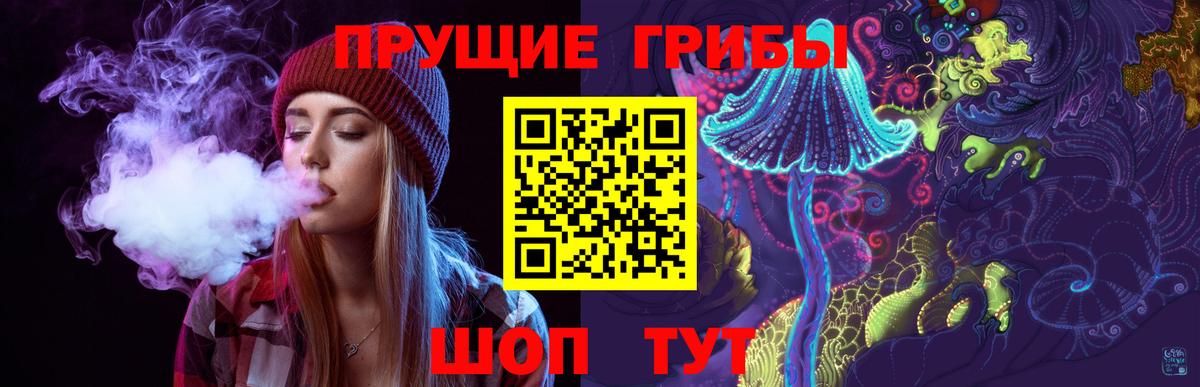 Менделеевск  Галлюциногенные грибы Psilocybe  Вход с VPN 